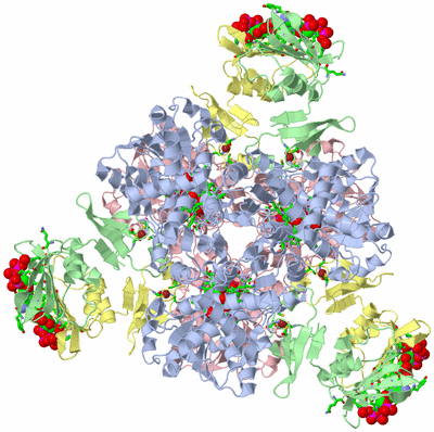 Image Biol. Unit 1 - sites