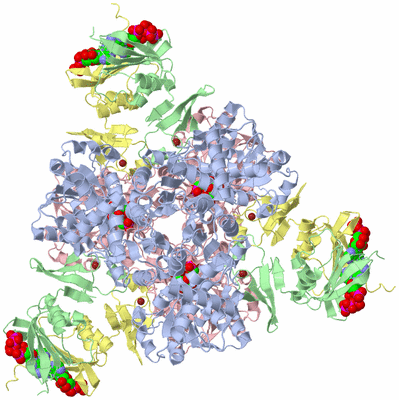 Image Biological Unit 1