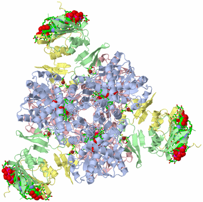 Image Biol. Unit 1 - sites