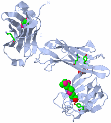 Image Biol. Unit 1 - sites