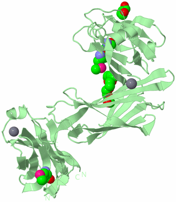 Image Biological Unit 2