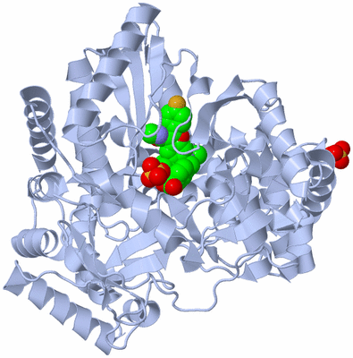 Image Biological Unit 1