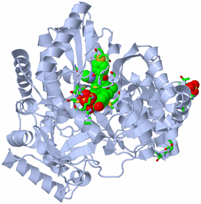 Image Biol. Unit 1 - sites