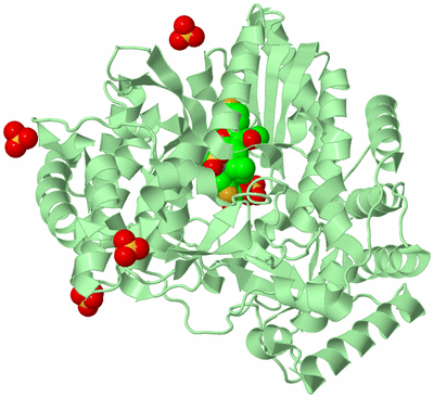 Image Biological Unit 2