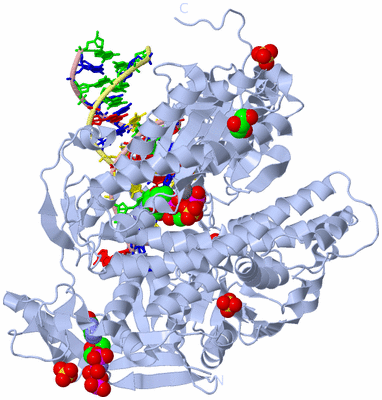 Image Biological Unit 1