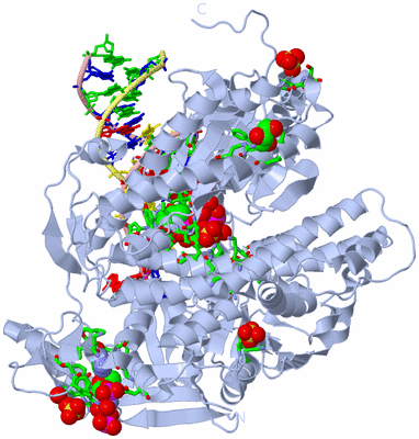 Image Biol. Unit 1 - sites