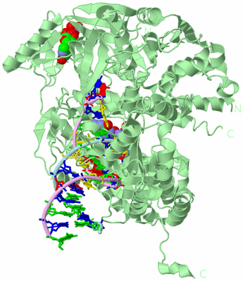 Image Biological Unit 2