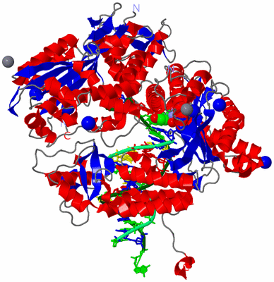 Image Asym./Biol. Unit