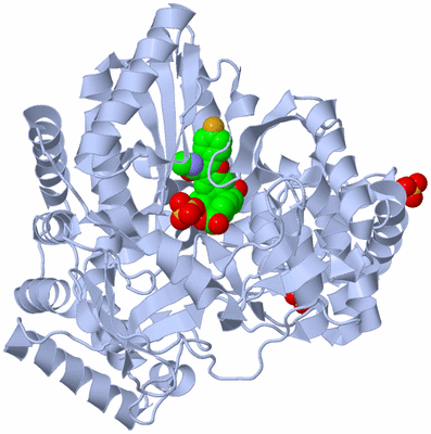 Image Biological Unit 1