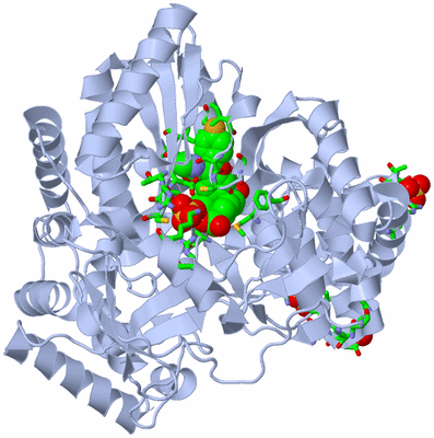 Image Biol. Unit 1 - sites