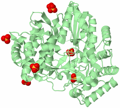 Image Biological Unit 2