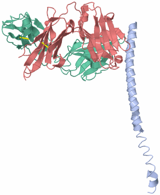 Image Biological Unit 1