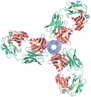 Image Biological Unit 2