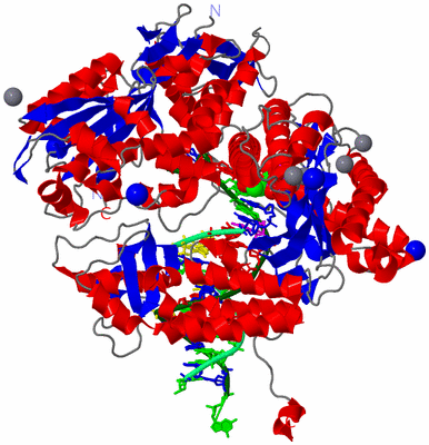 Image Asym./Biol. Unit