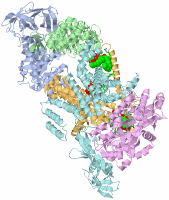 Image Asym./Biol. Unit - sites