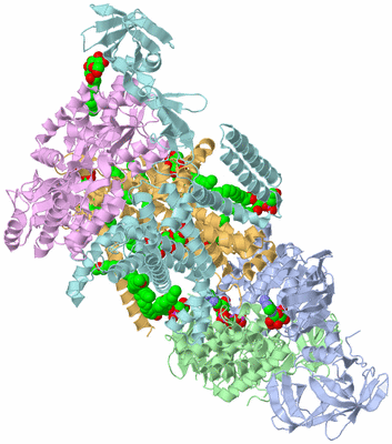 Image Asym./Biol. Unit