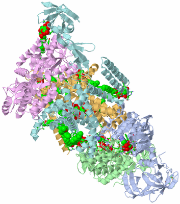 Image Asym./Biol. Unit - sites