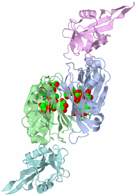 Image Biol. Unit 1 - sites