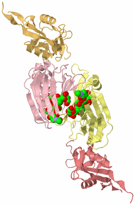 Image Biological Unit 2