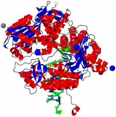 Image Asym./Biol. Unit