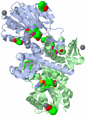 Image Asym./Biol. Unit