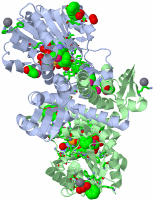 Image Asym./Biol. Unit - sites