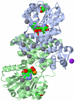 Image Asym./Biol. Unit