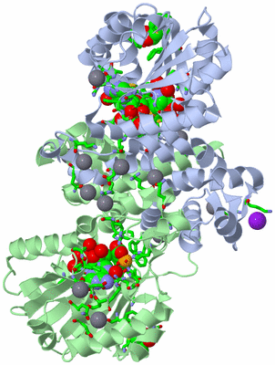 Image Asym./Biol. Unit - sites