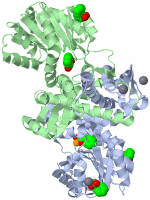 Image Asym./Biol. Unit