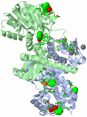 Image Asym./Biol. Unit - sites