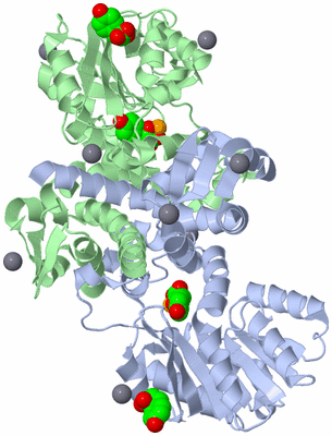 Image Asym./Biol. Unit