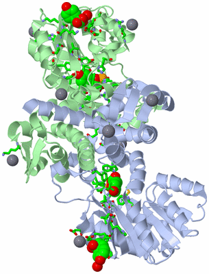 Image Asym./Biol. Unit - sites