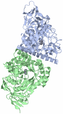 Image Asym./Biol. Unit