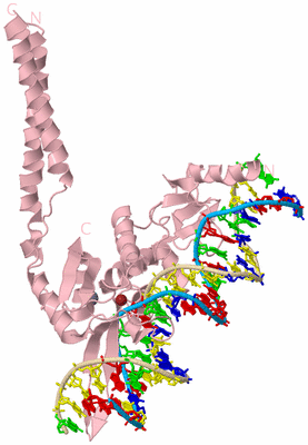 Image Biological Unit 3