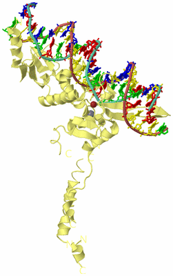 Image Biological Unit 4