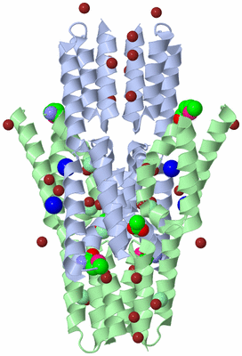 Image Biological Unit 2