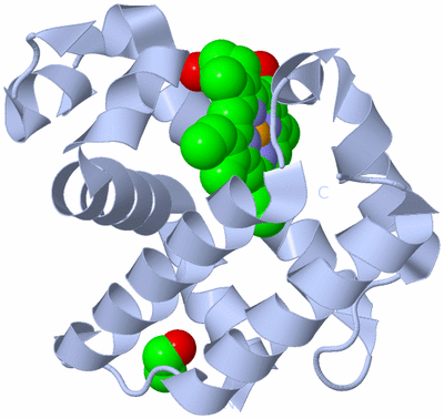 Image Biological Unit 1