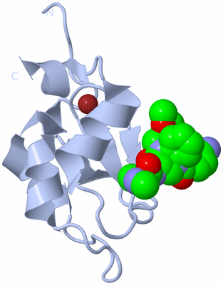 Image Biological Unit 1