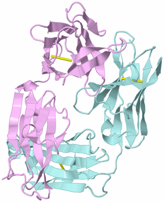 Image Biological Unit 3