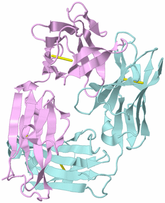 Image Biological Unit 3