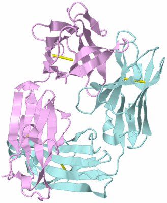 Image Biological Unit 3