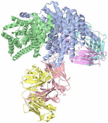 Image Asymmetric Unit