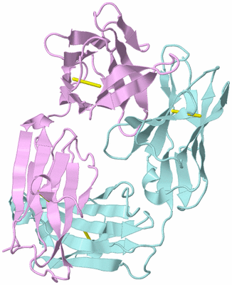 Image Biological Unit 3