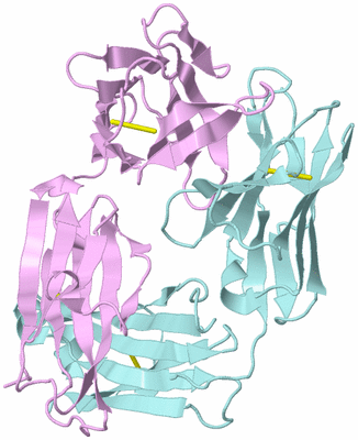 Image Biological Unit 3