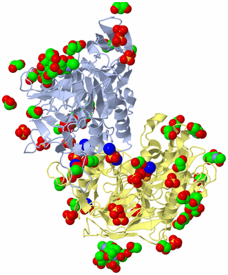 Image Biological Unit 1