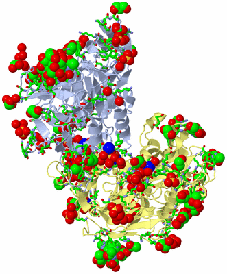 Image Biol. Unit 1 - sites