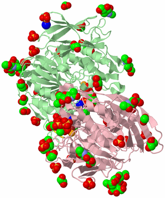 Image Biological Unit 2