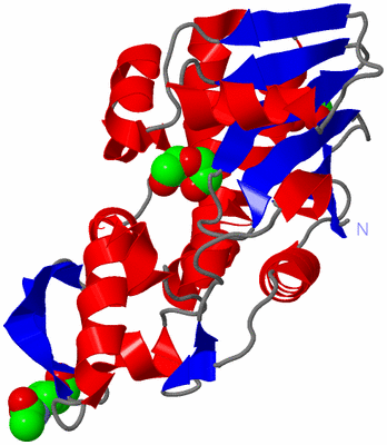 Image Asym./Biol. Unit