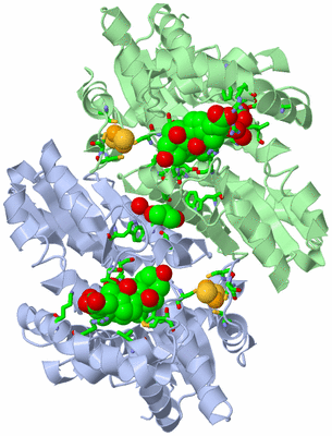 Image Asym./Biol. Unit - sites