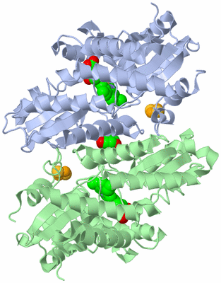 Image Asym./Biol. Unit